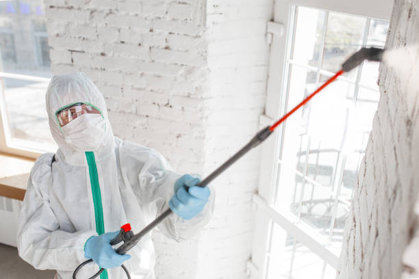 Forensic Mold Investigation in Lakeland, GA