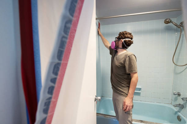Reliable Lakeland, GA Mold Removal Solutions