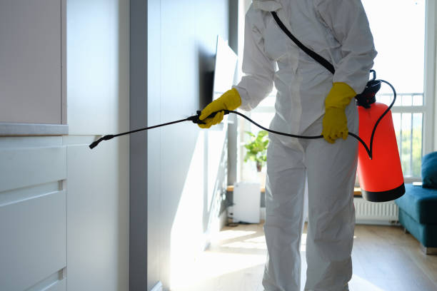 Best Residential Mold Inspection & Testing  in Lakeland, GA