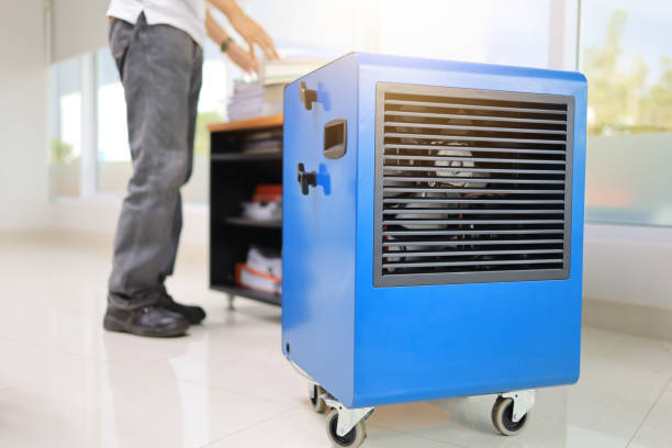 Best Real Estate Mold Inspection  in Lakeland, GA