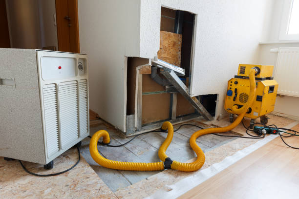 Best Mold Odor Removal Services  in Lakeland, GA