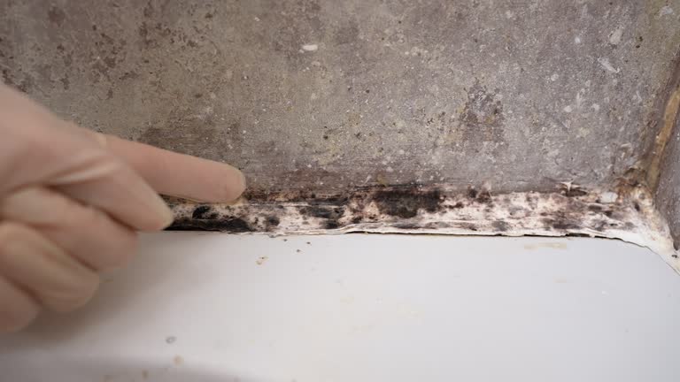 Best Post-Remediation Verification Testing  in Lakeland, GA